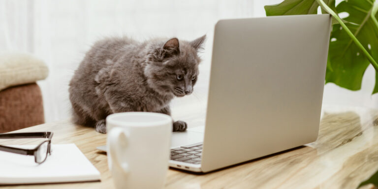 Best internet provider internet 01