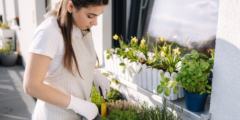 Maintaining a lush and vibrant garden female watering gardern 01